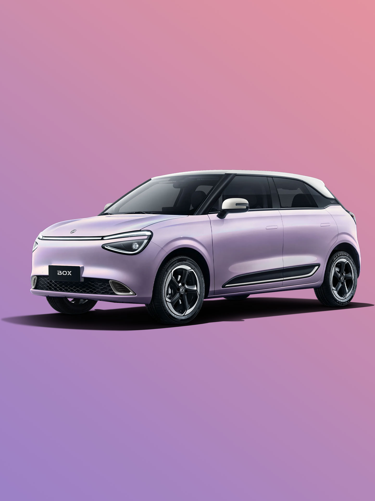 Φωτογραφία DongFeng Box μοντέλου Lavender Haze