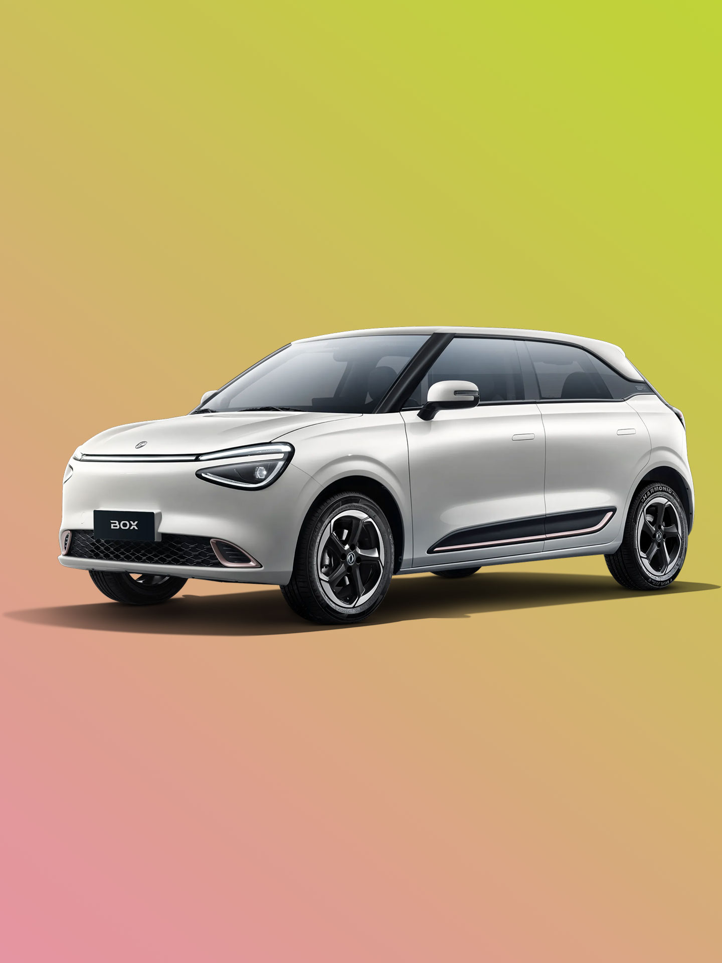 Φωτογραφία DongFeng Box μοντέλου Vanilla Frost