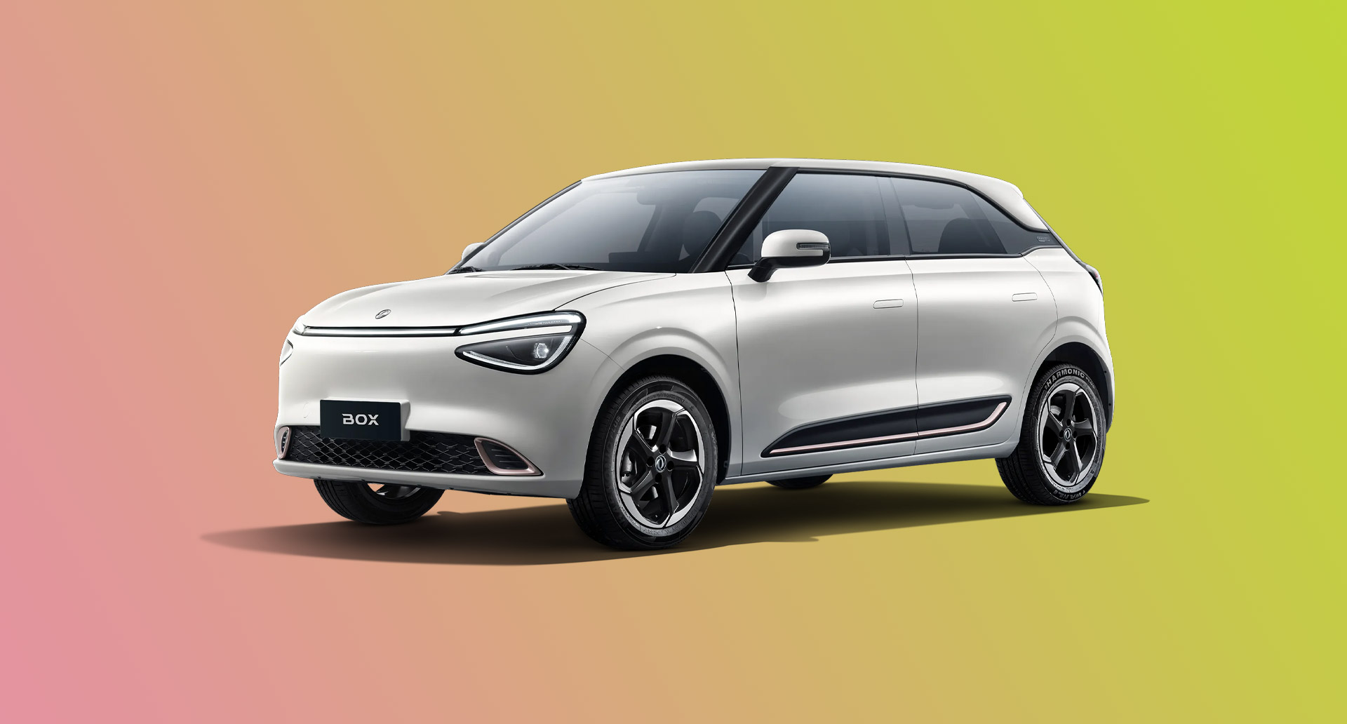 Φωτογραφία DongFeng Box μοντέλου Vanilla Frost